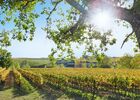 DOMAINE