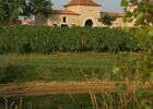 DOMAINE