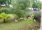 PHOTO14