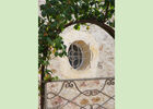 PHOTO13
