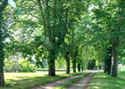 PHOTO10