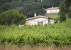 PHOTO14