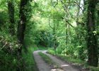 PHOTO2