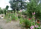 PHOTO16