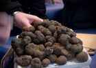 BARRRIERE TRUFFES (13)
