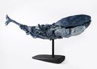 Baleine Georgin Florian