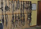 Centre equestre bosquet 3 MANE