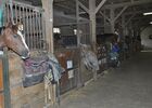 Centre equestre bosquet MANE