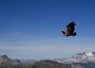 Planeur pyrennees comminges CLARAC