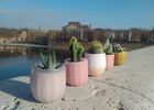 TiPii Atelier terracotta cactus pot toulouse artisanatpetit