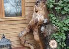 merville_canopys treat (18)TIS