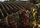 chateau plaisance 2 VACQUIERS