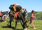 ferme oulan bat 1 ARBAS