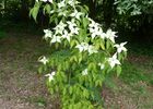 jardin cap d arbon 4ESTADENS