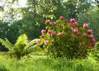 jardin cap d arbon 3 ESTADENS