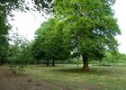 jardin cap d arbon ESTADENS
