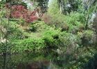 jardin compans 6 TOULOUSE