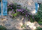 190201LeMetge_Figeac_RosierAuPrintemps
