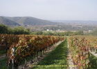 Domaine Dhoste Chevalier