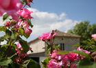 Domaine de la Garde