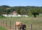 12 Gîte Bonhomme - Cavagnac
