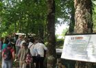 Jardin Bourian Dégagnac