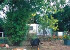 camping-baylou
