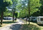canmping -6