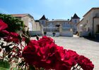 chateua fleurs copie