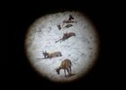 imgpreview-name-mising
