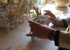 atelier fleurs séchées AIZENAY
