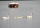 Le fleuve, ses sports nautique, la base de loisirs de Saint Nicolas, les balades à vélos...