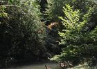 imgpreview-name-mising