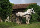 Le Domaine des Lacs