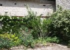 La Petite Maison d'été