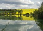 La Basse Cour