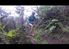 instant nature - la course tangue