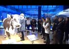 la cité du lait lactopôle ®, premier site de visite labellisé qualité tourisme en mayenne