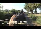 roulotte de geff en vidéo
