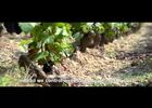 présentation de la maison rémy massin & fils