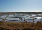 noirmoutier-08-09-250-17212