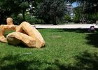 imgpreview-name-mising
