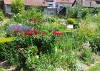 imgpreview-name-mising