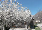 imgpreview-name-mising