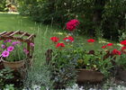 jardin