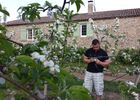 imgpreview-name-mising