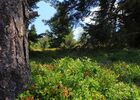 imgpreview-name-mising