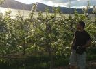 imgpreview-name-mising
