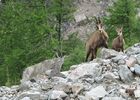 imgpreview-name-mising