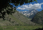 imgpreview-name-mising